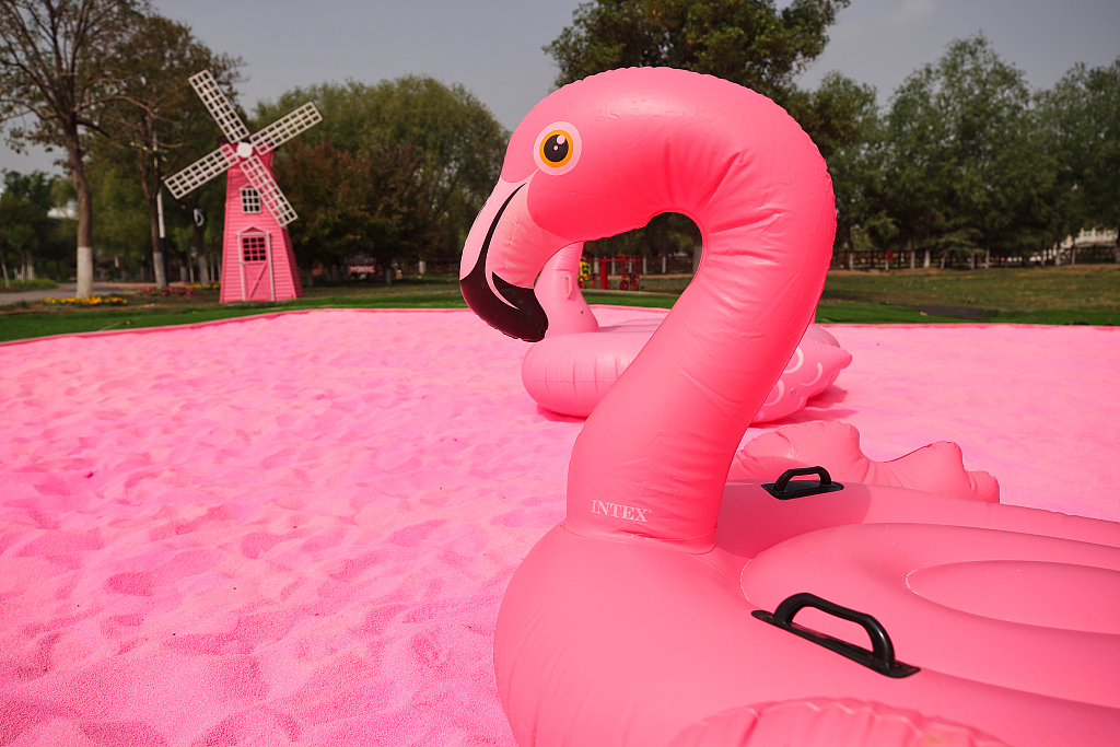 Vibrant sparkling Pink colored sand! 